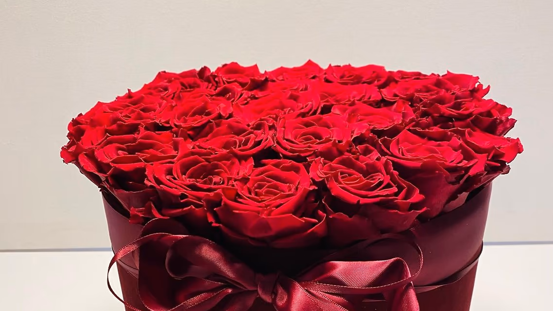 Rosboxar